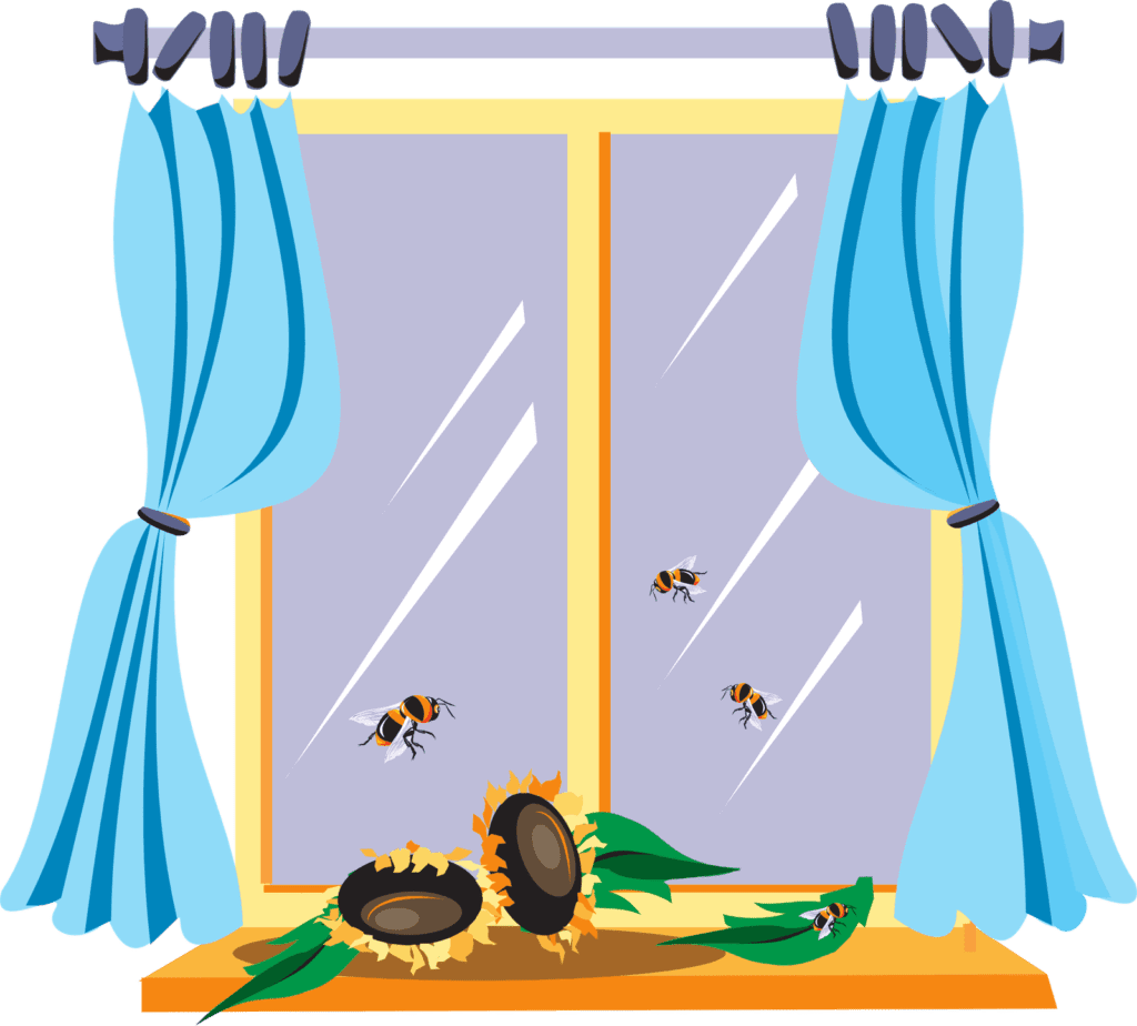 2-top affordable windows decoration between  to 